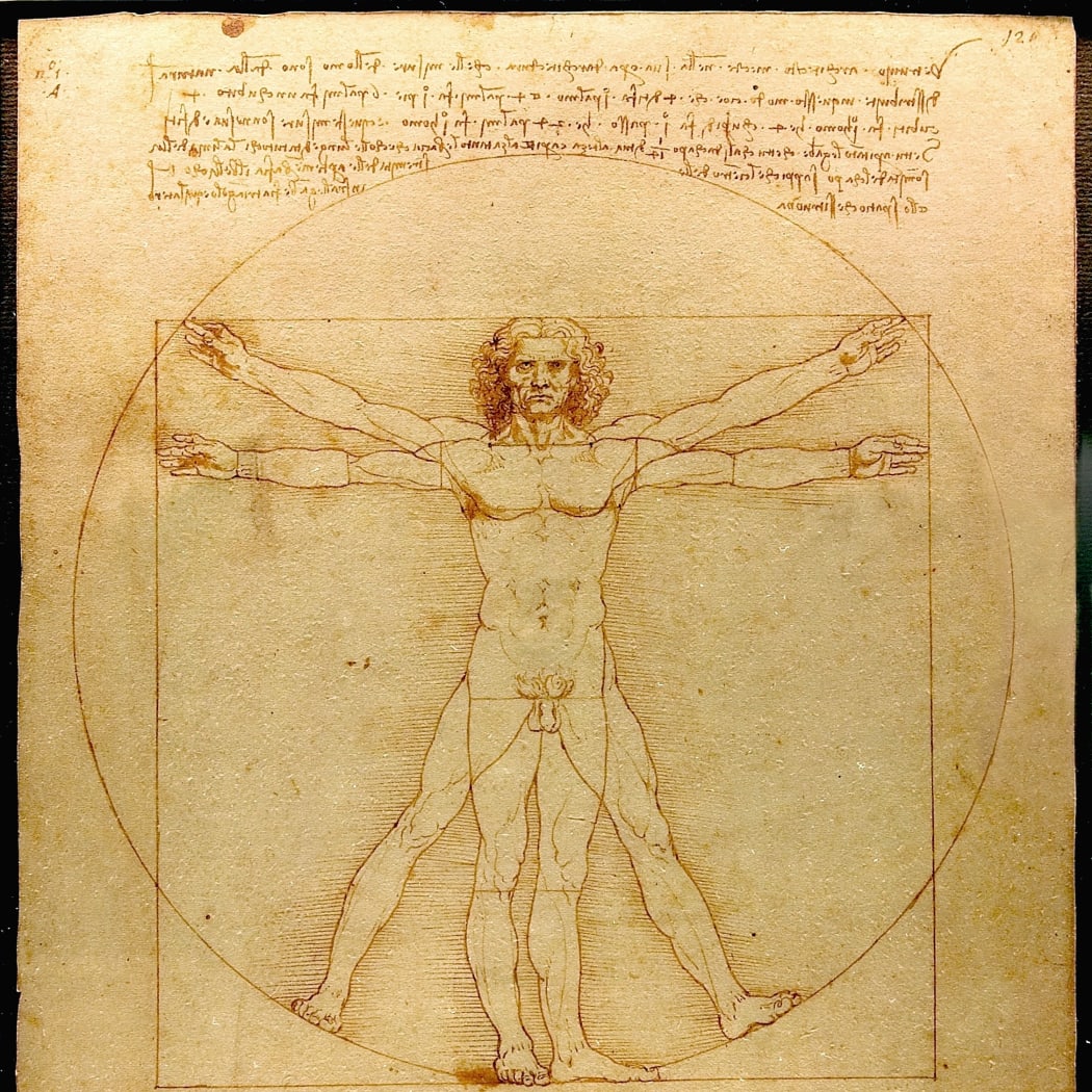 Vitruvian Man by Leonardo da Vinci