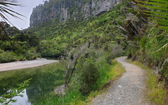 The Punakaiki end of the Paparoa Track.
