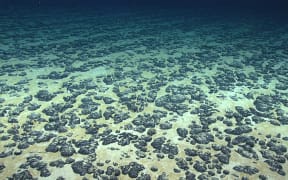 Polymetallic nodules in the western Atlantic Ocean. This image was captured on a deep-sea research mission in 2019.