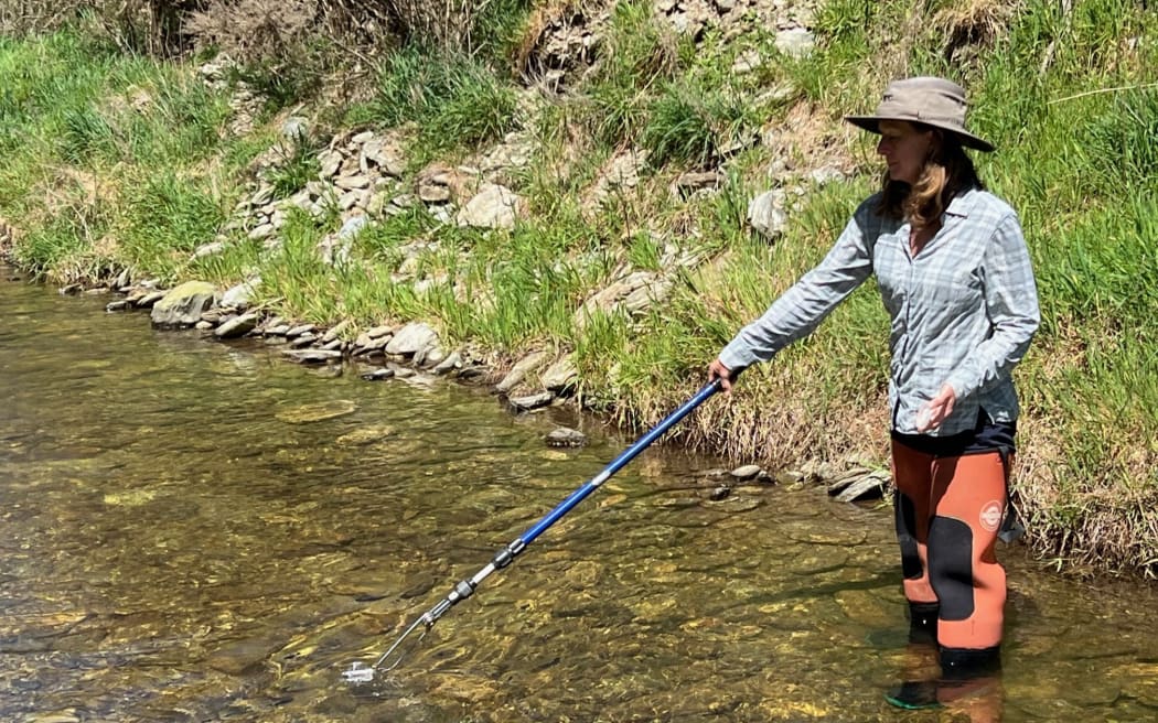 Inspired farmers take action to clean waterways RNZ
