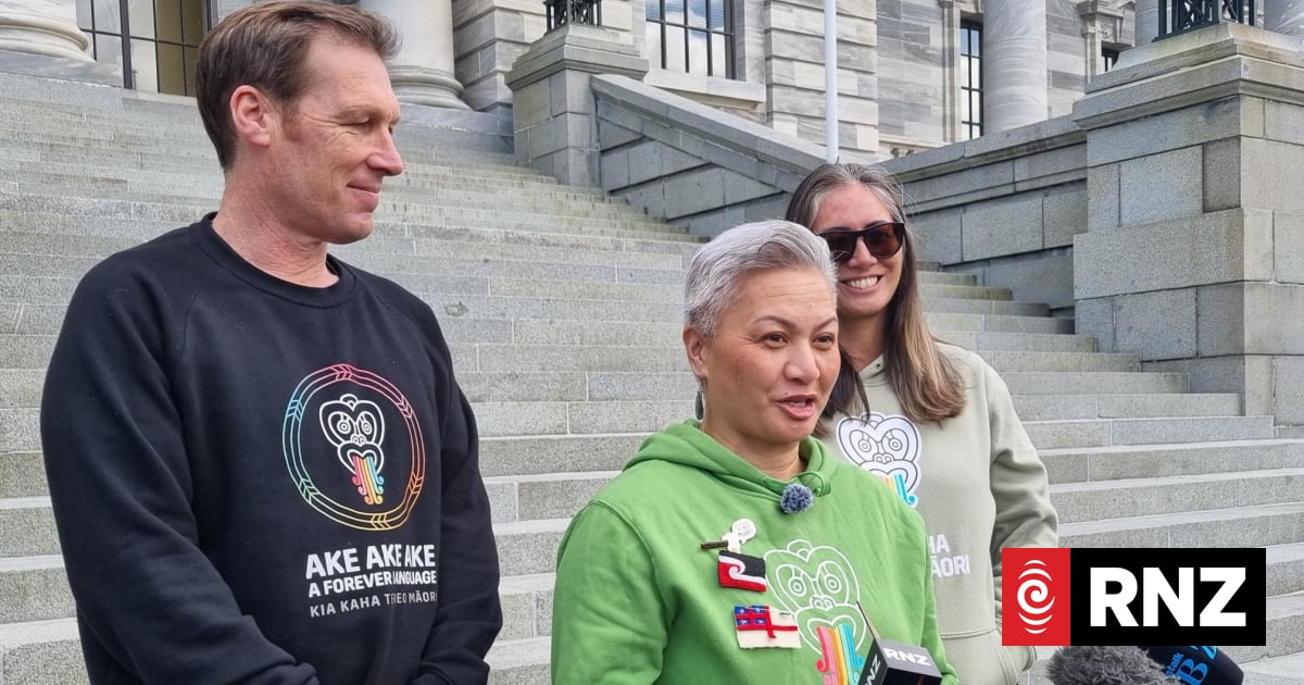 Greens promise $200m into te reo Māori initiatives