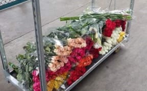 Some of the flowers from Fresh Cut Flowers Wholesaler