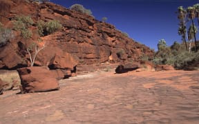 Australia, Northern Territory, Finke river, Palm valley, in the bush.