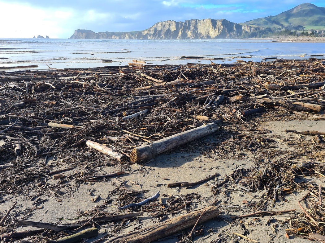 Slash strewn over the Uawa River mouth in Tolaga Bay.