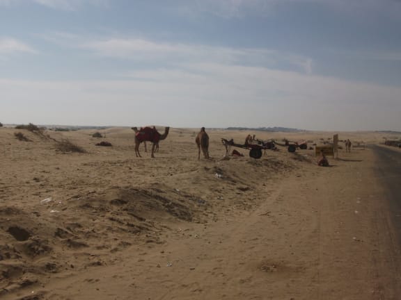 Thar Desert, Rajasthan