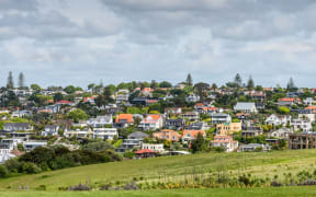 auckland housing