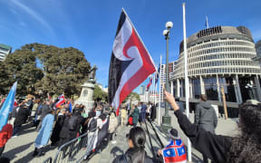 Hundreds have gathered outside Parliament on 5 August 2024 to protest against the government repealing Section 7AA of the Oranga Tamariki Act.
