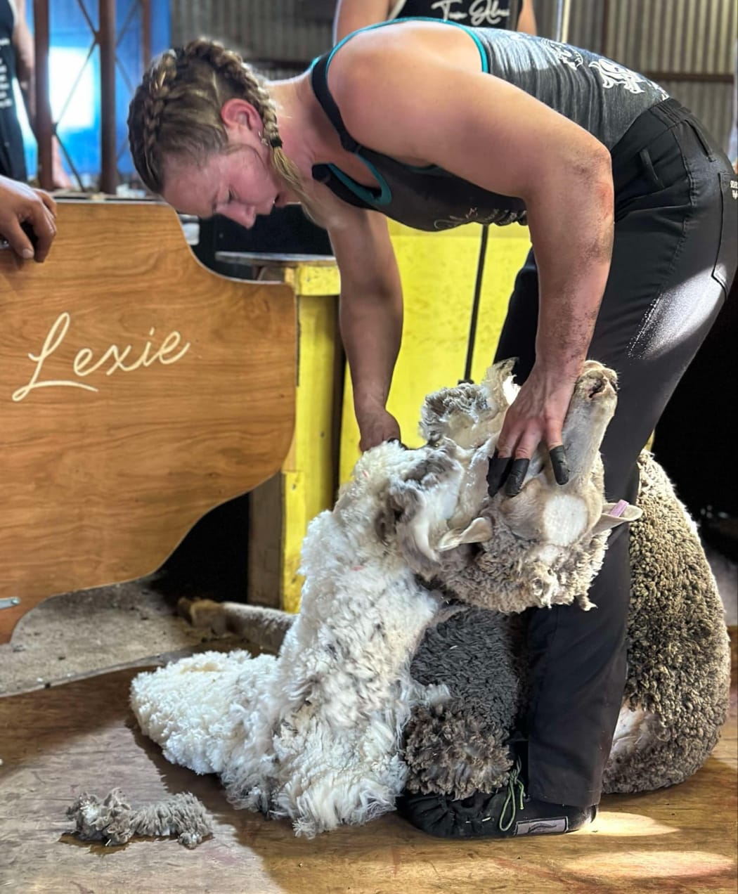 Alexia Phillips breaking the women's world record for sheep shearing in Western Australia.