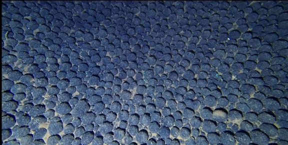 Cook Islands nodule field - photo taken within Cook Islands EEZ.