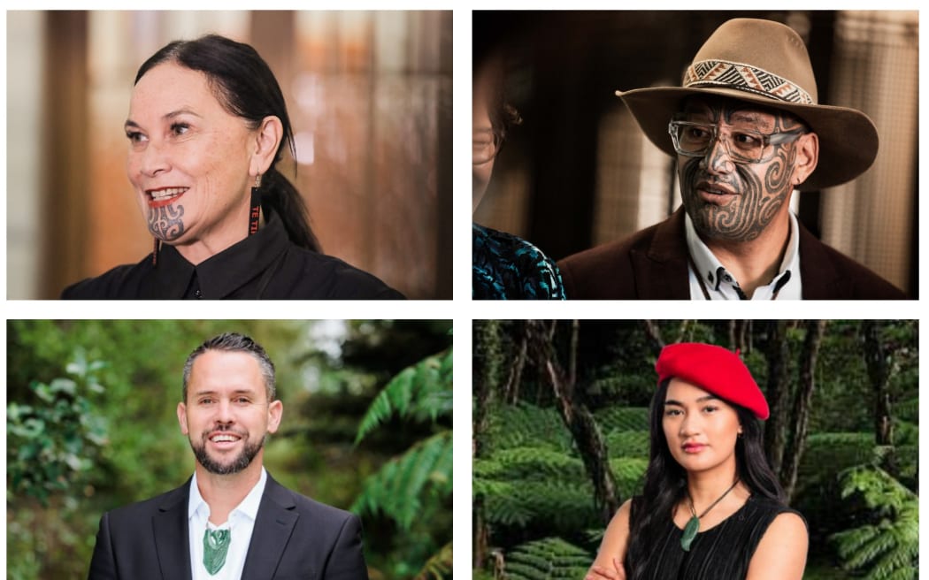 Te Pāti Māori electorate wins.