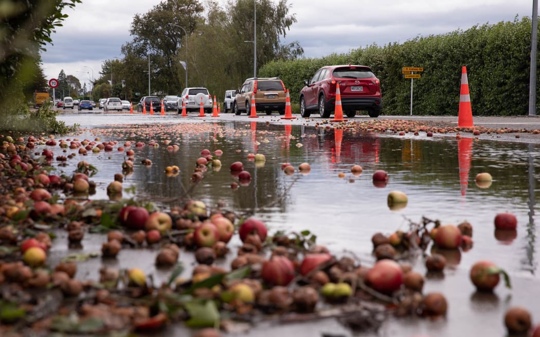 A flooded orchard and apples strewn over the road just outside Hastings.