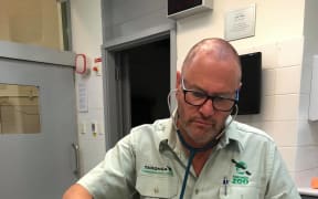 After police put an end to his adventure, the wallaby was taken to Taronga Zoo in Sydney for assessment