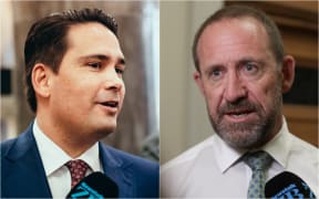 Simon Bridges and Andrew Little