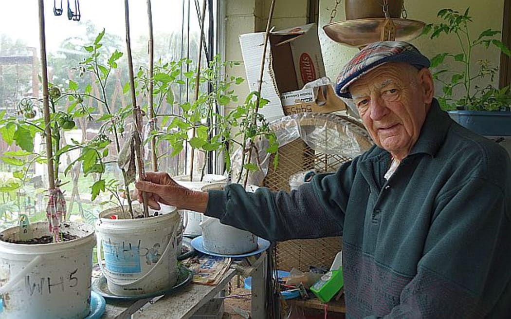 Inglewood pensioner, Cliff LeBeau, with potted tomatos
