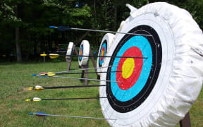 There is an archery target on the right hand side. It has several arrows sticking out of it.