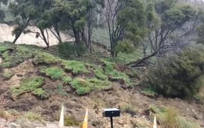 Hillslide collapses at Marybank near Nelson