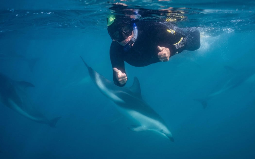 A diver poses with marine life.