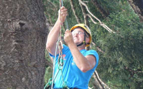 Noel Galloway of Waikato takes the strain of tree climbing in his stride.