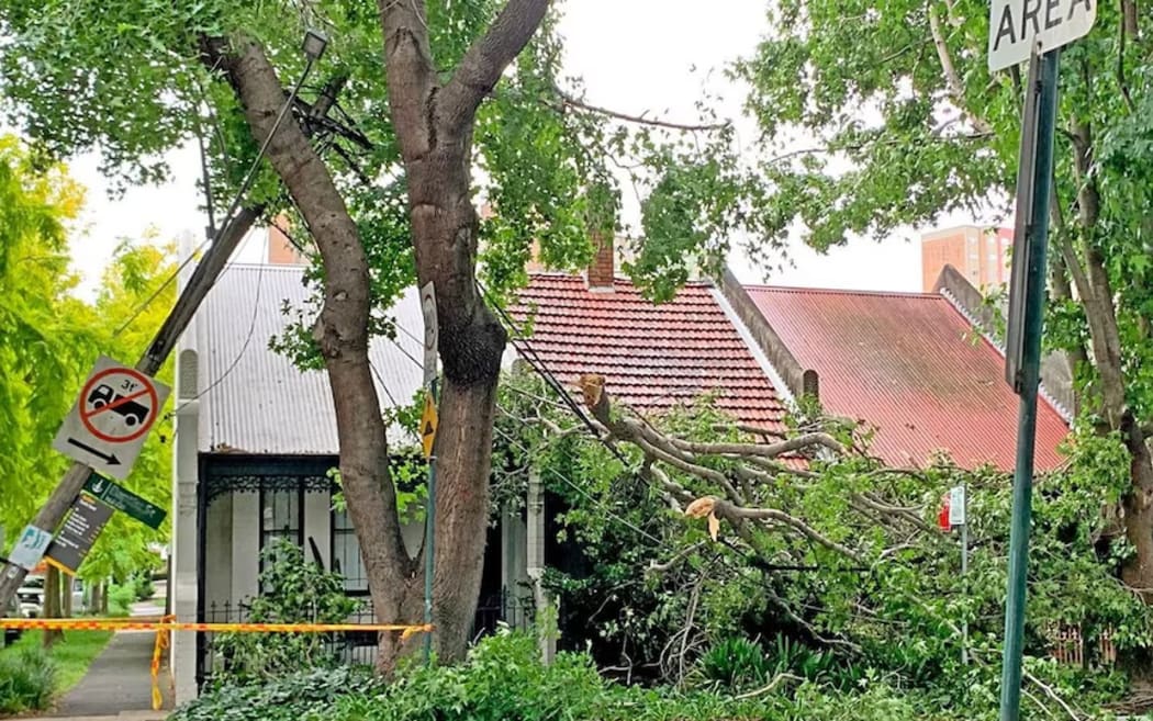 The vast majority of the callouts in Sydney were due to damaging winds and fallen trees.