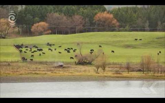 Hawke's Bay Regional Council chairman on water contamination