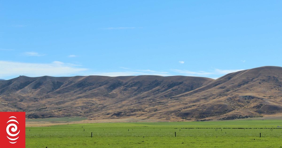 Mackenzie Basin faces most challenging wildfire conditions since 2008 - FENZ - Vimarsana News