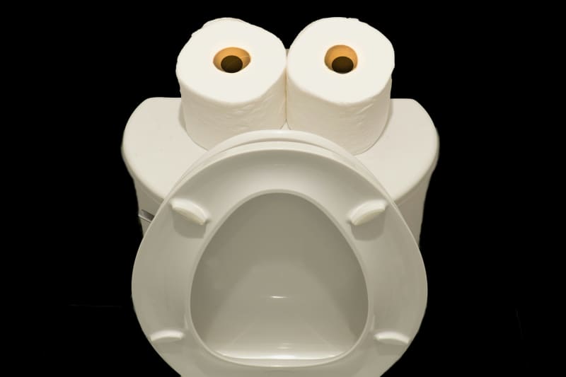 An image of two toilet tissue rolls sitting on top of an open toilet seat.