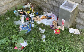 Rubbish dumped on Park Street. 
