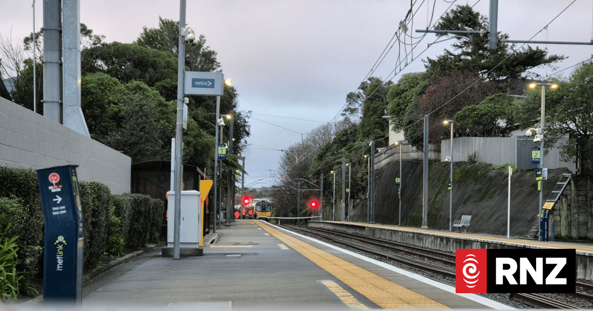 Officials give update on Wellington train crash investigatio