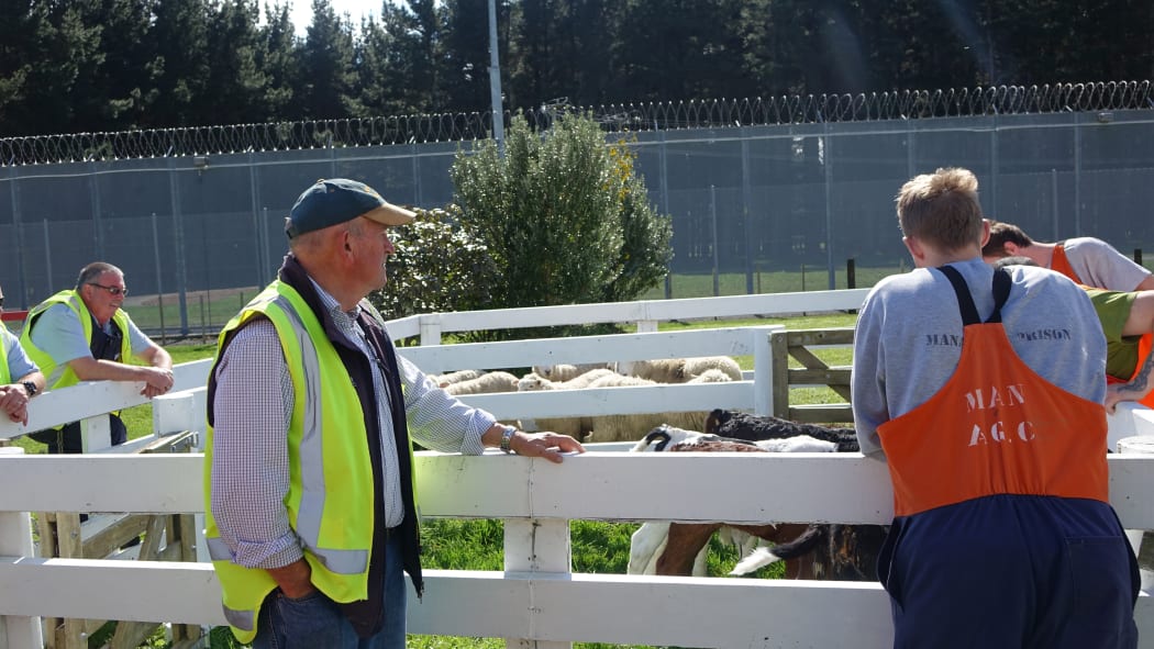 Tutor Graeme Allomes teaches animal care.