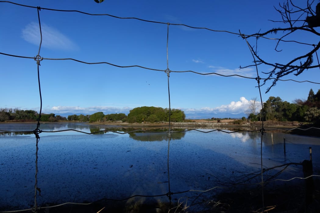 View of Motueka Estuary from local resident Robert Anderson's house.