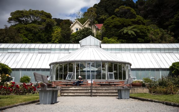 Begonia House in Wellington's botanical gardens