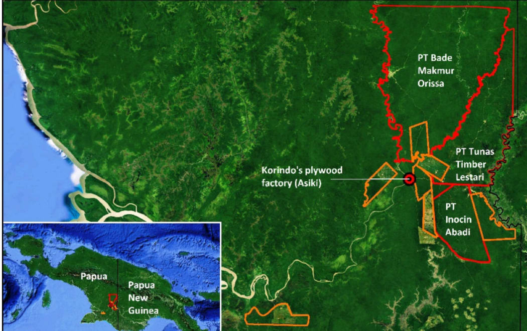 Location and concession boundary of PT Inocin Abadi, as well as other Korindo Group logging concessions (in red) and oil palm concessions (in orange).