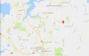 The fire broke out in a two-storey house in Flat Bush, south Auckland.