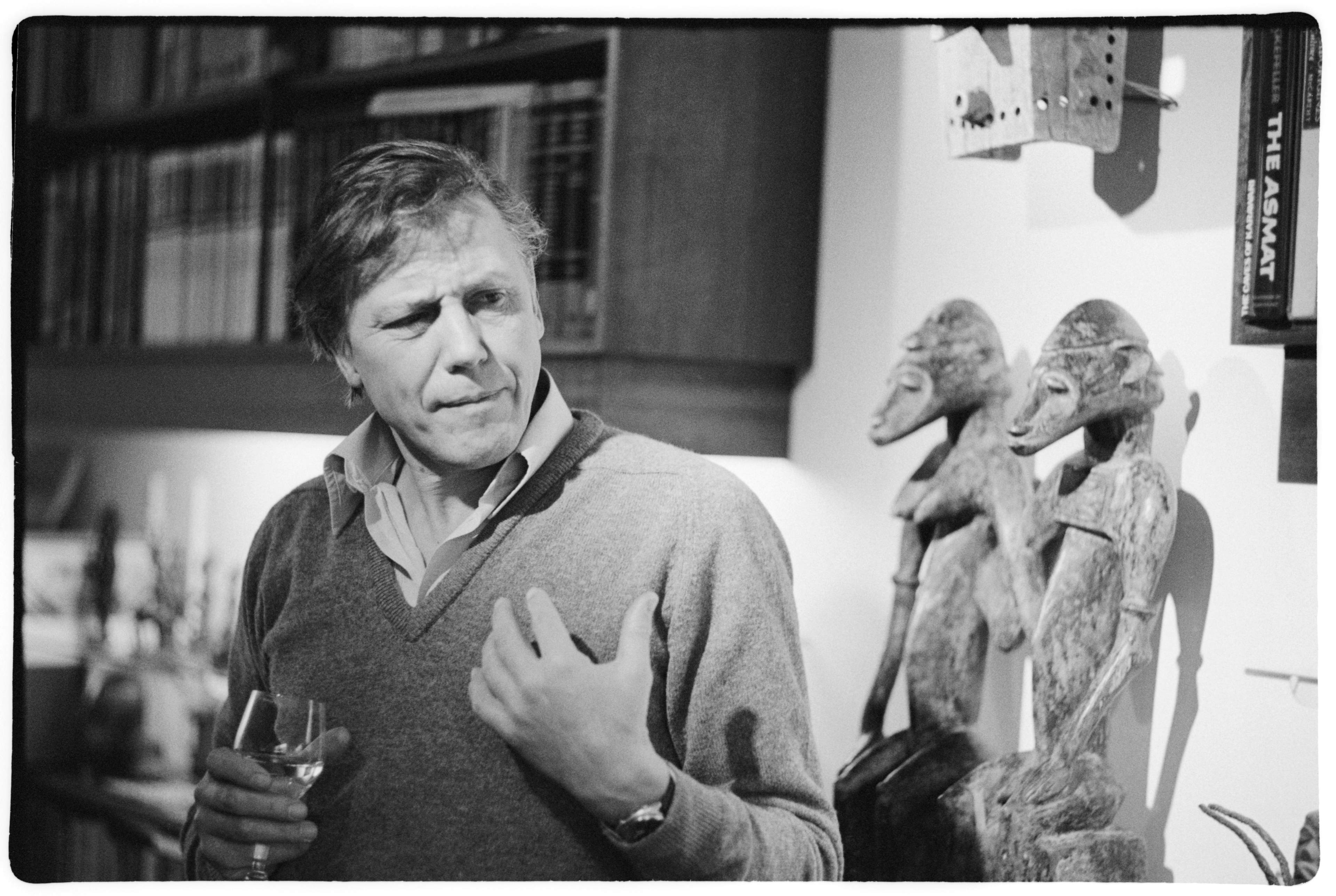 David Attenborough Celebrates Centenary Amid Global Acclaim — image 5