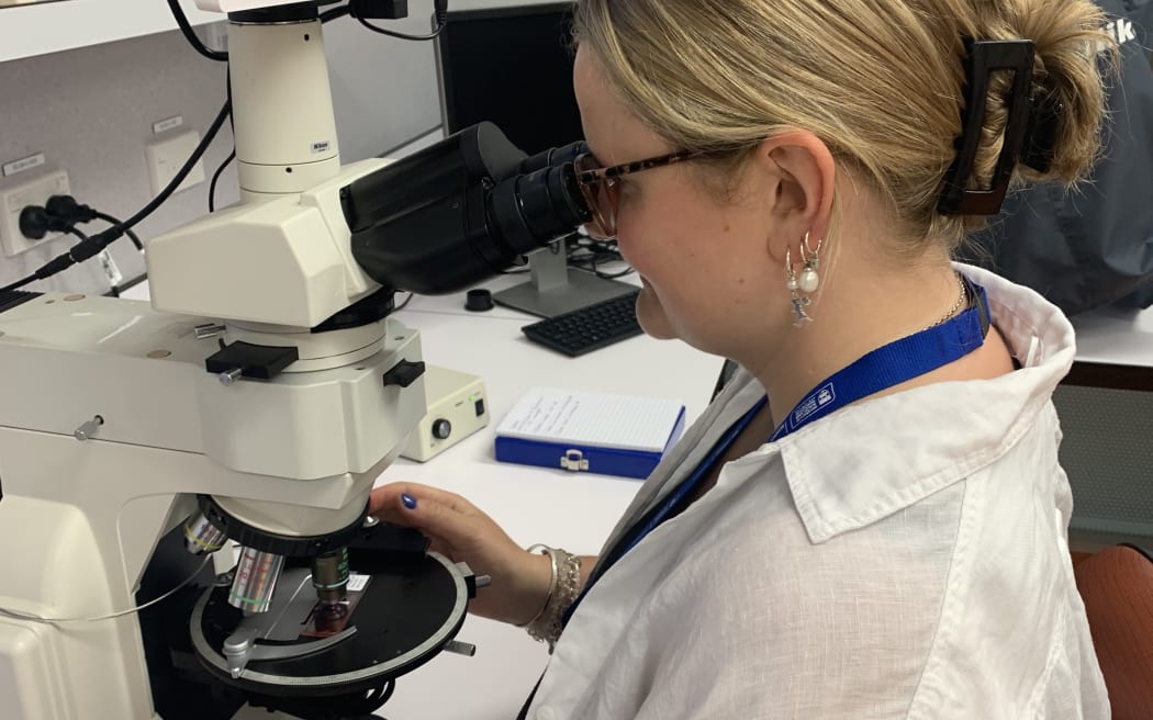 A woman with blonde hair tied back wearing glasses and a lab coat peers into a microscope at a lab bench.