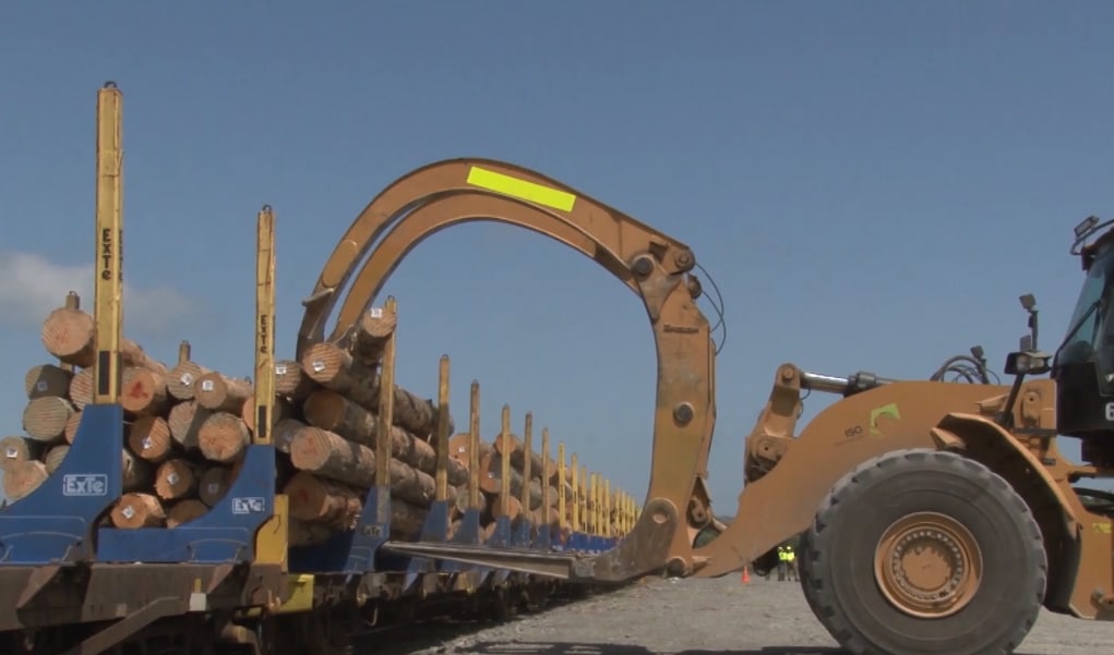 Loading railway line with logs.