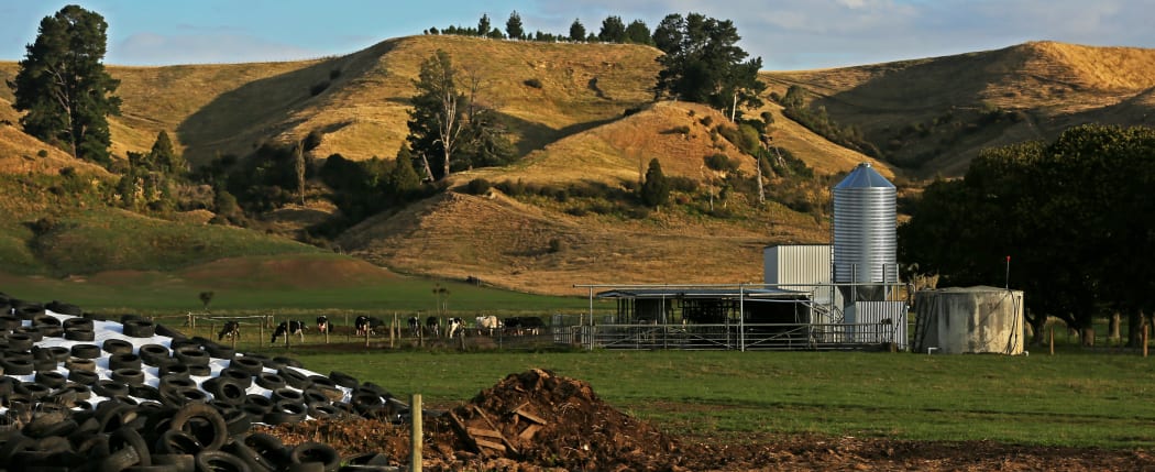 Dairy farm at Apiti, Manawatu