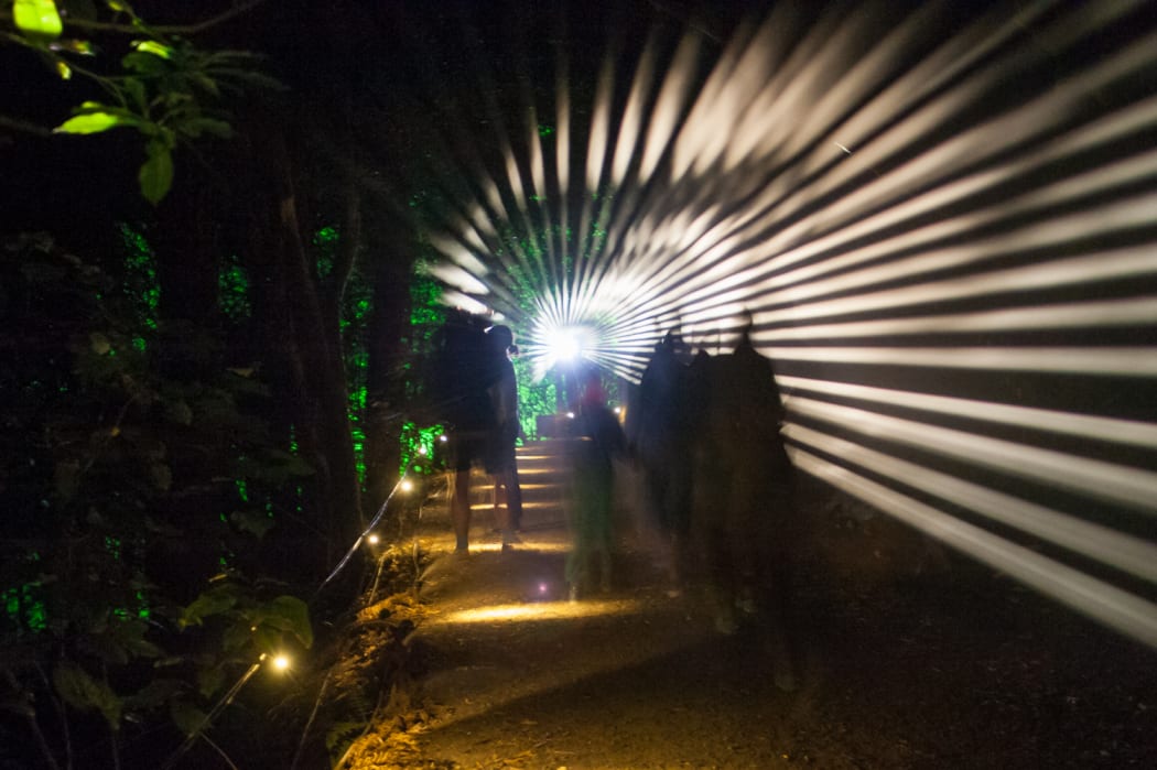 An installation at For the Birds