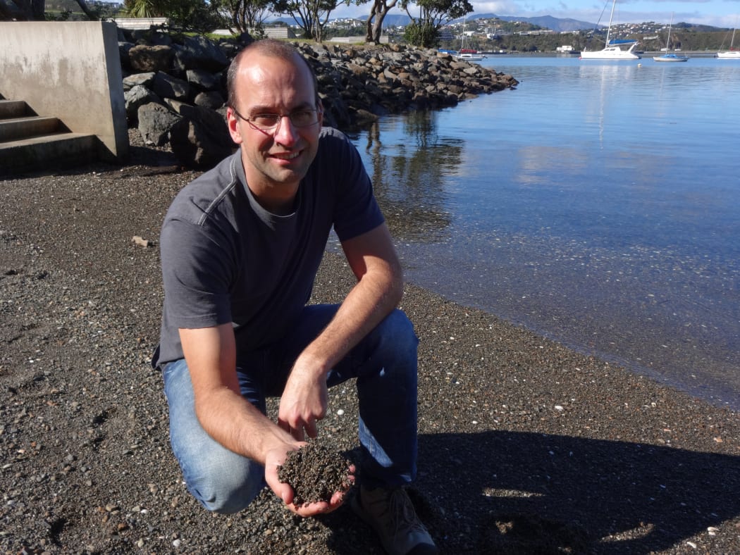 NIWA marine biologist Daniel Leduc at Hataitai beach in Wellington, where he discovered a new species of nematode.