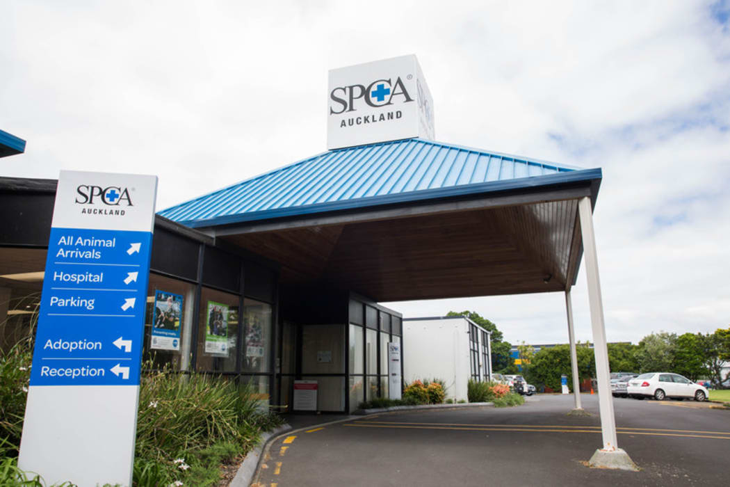 The Mangere SPCA in Auckland