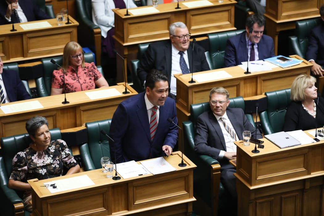 National Party Leader Simon Bridges during the debate on the Prime Minister's Statement