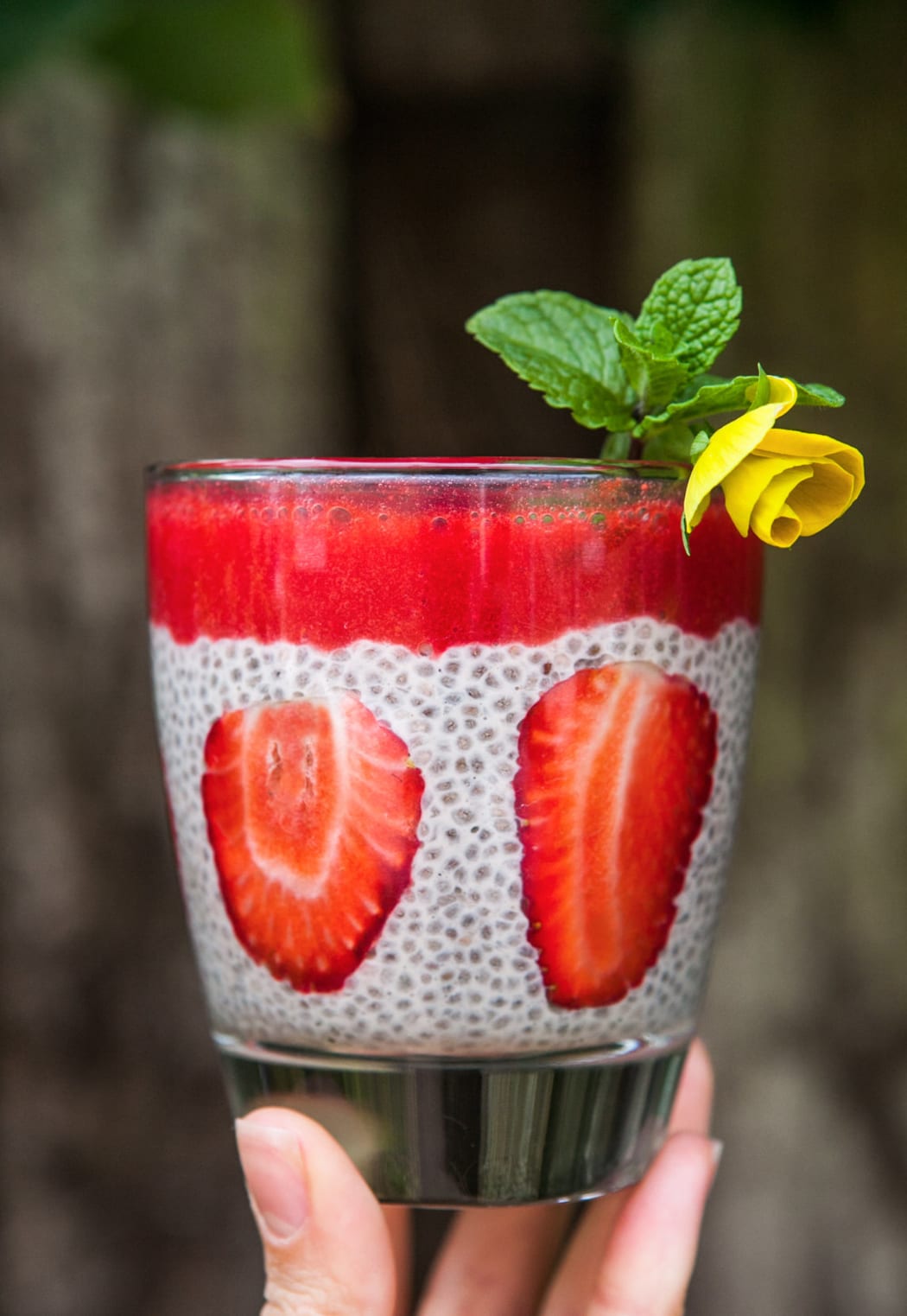 Vanilla chia pudding