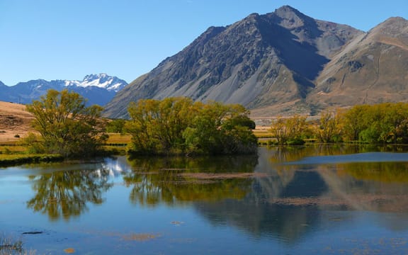 Wetland in Ahuriri Valley (Kennedy Warne)