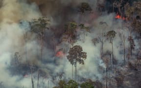 Smoke billowing from forest fires in the municipality of Candeias do Jamari in Rondonia State, 24 August.