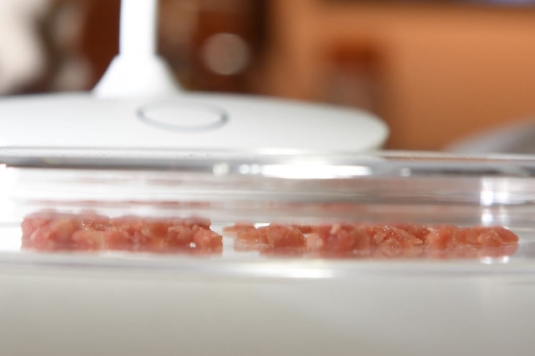 Lab-grown meat from the US is presented in the Disgusting Food Museum.
