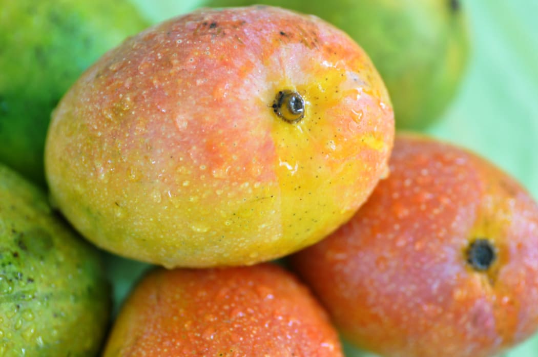 It's Mango season in India