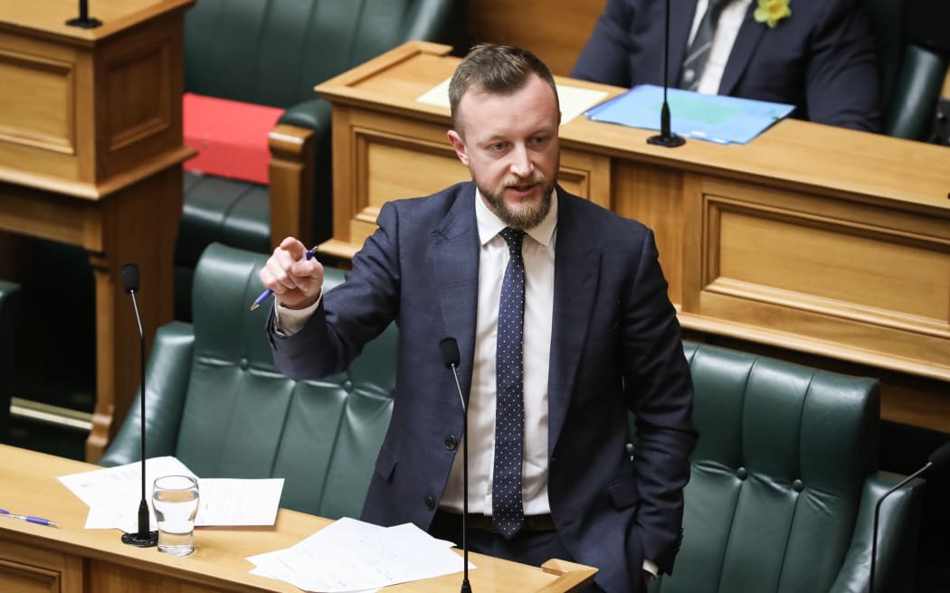 Labour Party Whip Kieran McAnulty in the House