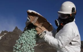 rat bait being used to eradicate rats from South Georgia