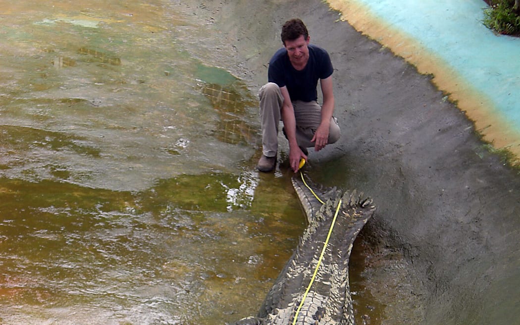 Australian zoologist  Adam Britton measures a captive crocodile in Bunawan town, Agusan del Sur province, in the Philippines southern island of Mindanao on November 9, 2011. A small Philippine town on Novemer 9 laid claim to having the world's largest captive crocodile after an Australian expert measured the saltwater beast at 20.3 feet (6.187 metres).  The male reptile was captured in Bunawan in the Agusan marsh on the southern island of Mindanao in September and measured on Wednesday by Australian zoologist Adam Britton, Bunawan town council member Apollo Canoy said. AFP PHOTO/RICHARD GRANDE (Photo by RICHARD GRANDE / AFP)