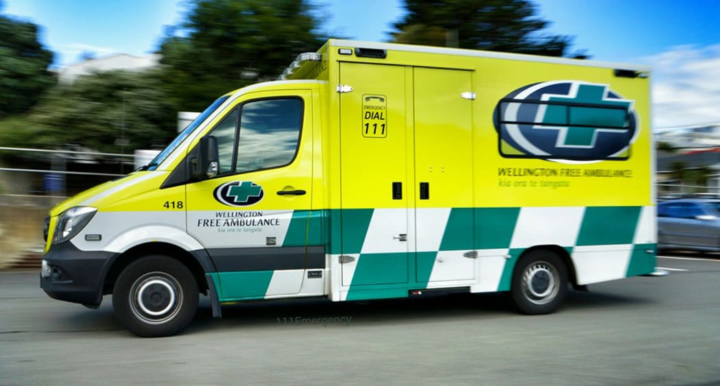 Wellington Free Ambulance vehicle attended the scene of the incident.